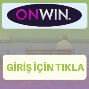 Onwin giriş